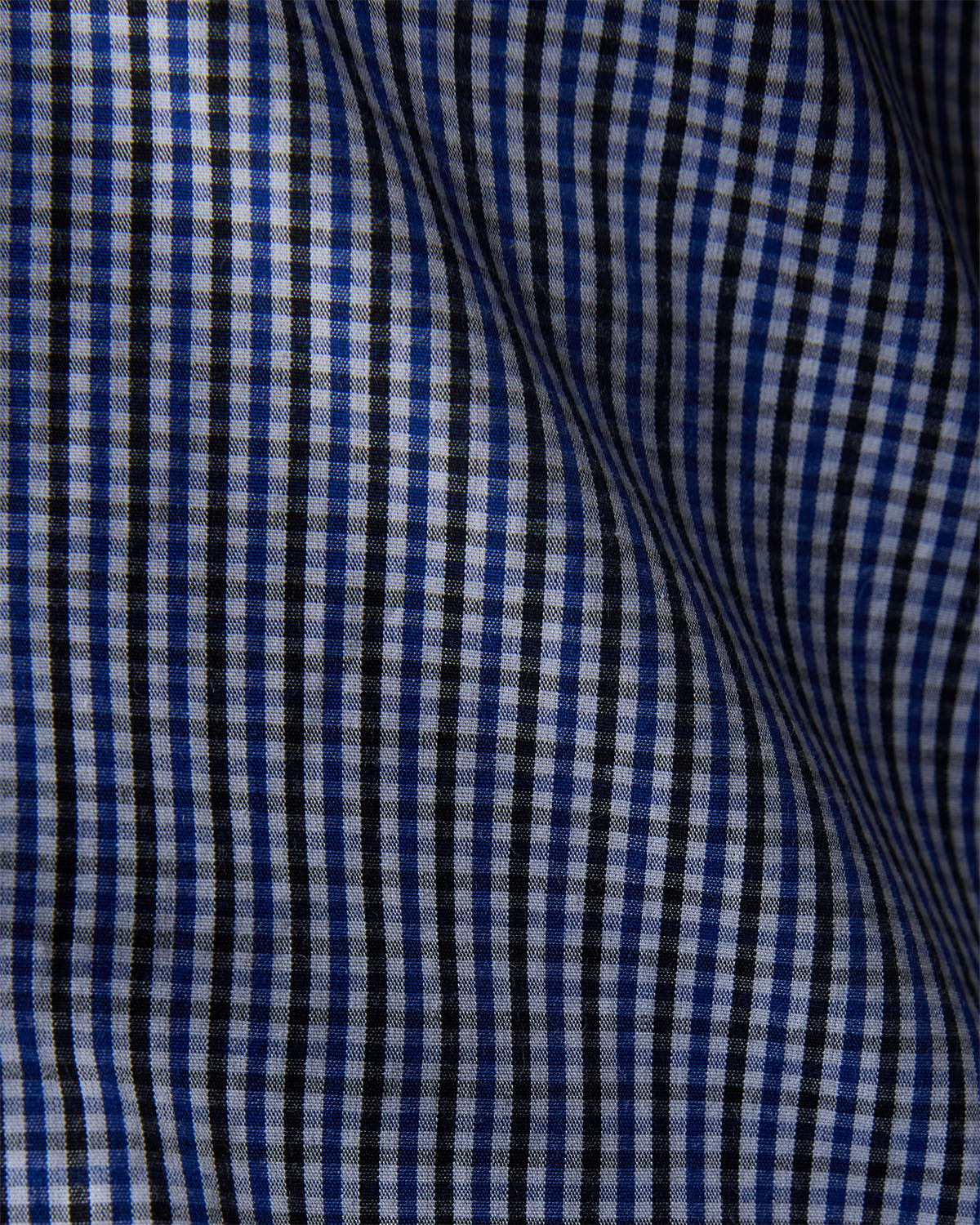 Micro-Checked Shirt - Blue & Black